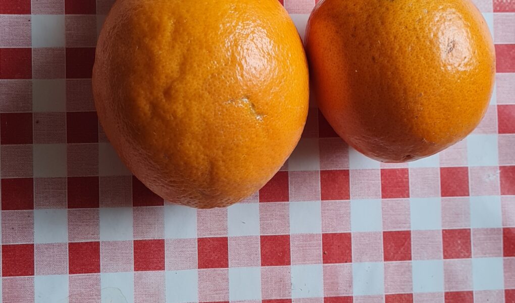 Göra raw food godis på apelsinskal!