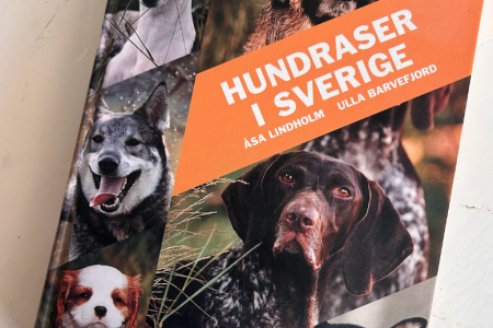 Böcker om att skaffa hund